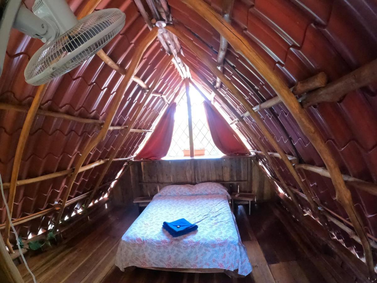 Tree House Samanea Lodge بويرتو ليمون المظهر الخارجي الصورة