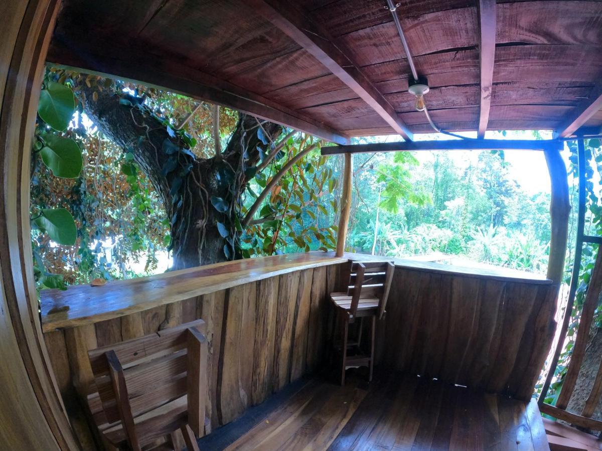 Tree House Samanea Lodge بويرتو ليمون المظهر الخارجي الصورة