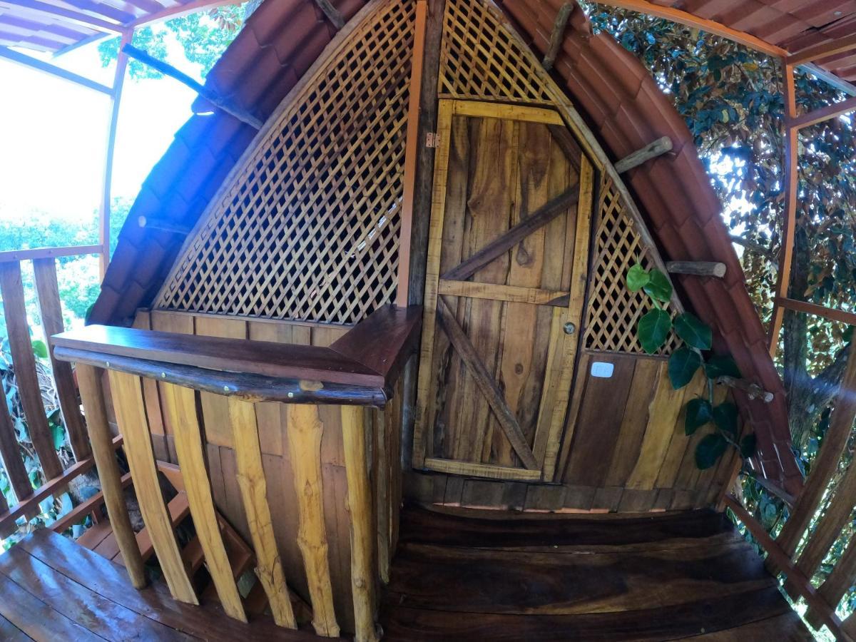 Tree House Samanea Lodge بويرتو ليمون المظهر الخارجي الصورة