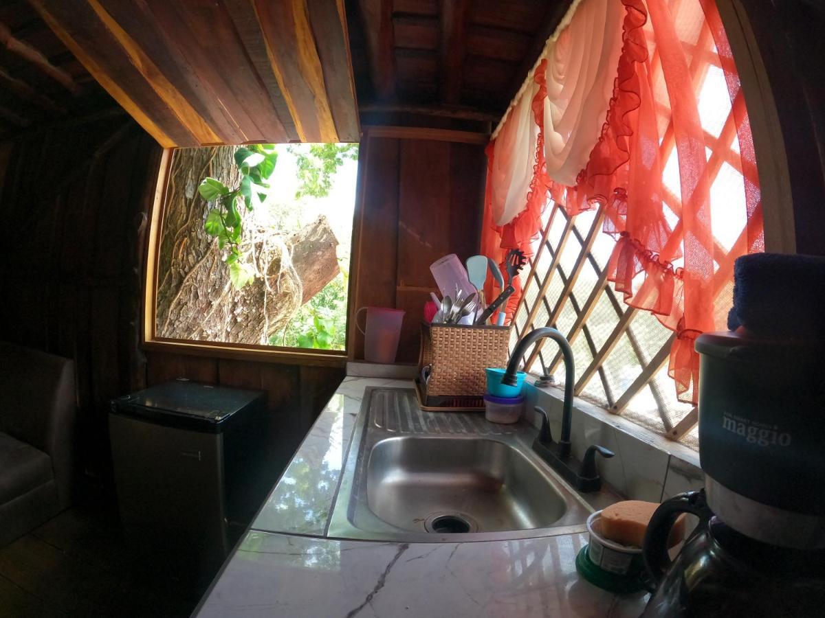 Tree House Samanea Lodge بويرتو ليمون المظهر الخارجي الصورة
