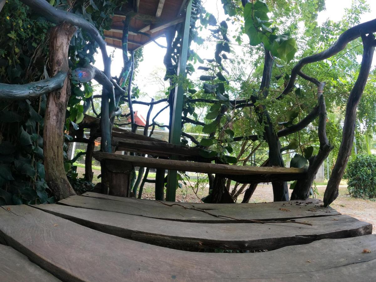 Tree House Samanea Lodge بويرتو ليمون المظهر الخارجي الصورة